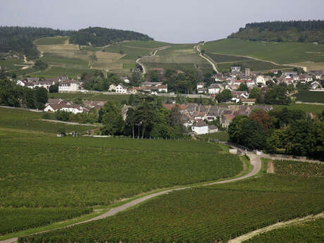 Formules dégustations de la Maison Tramier