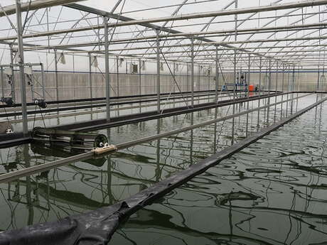 Visite ferme spiruline et méthanisation