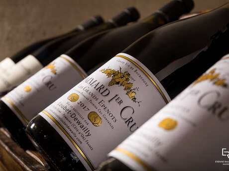 Dégustation spéciale Vente des Vins des Hospices de Beaune - Domaine Loubet-Dewailly