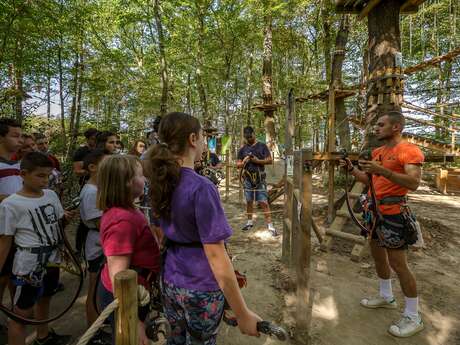 Acrogivry Les Aventures en Forêt