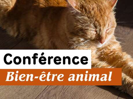Conférence autour du bien-être animal