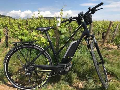 Bourgogne Randonnées