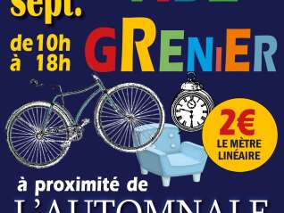 Vide-grenier
