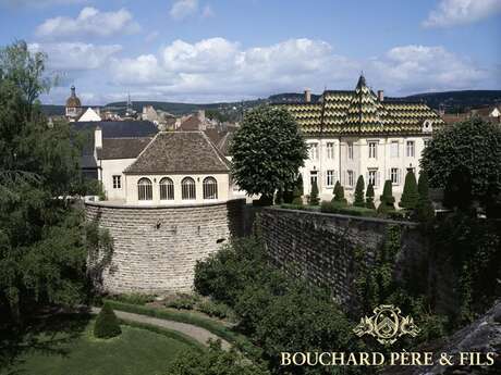 Bouchard Père et Fils