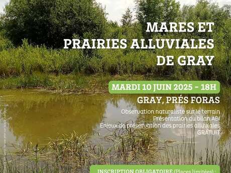 Mares et prairies alluviales de Gray Mares et prairies alluviales de Gray