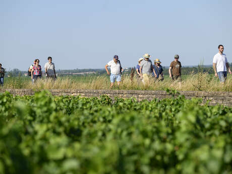 Patrimoine mondial en fête