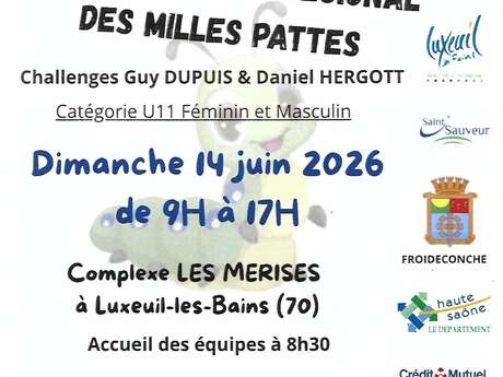 Tournoi des 1000 pattes : tournoi de basket