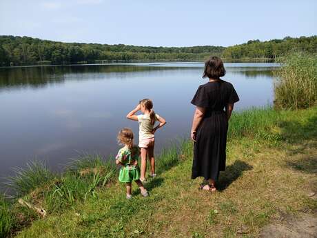 Site de pique nique à l'Etang des Monts Reveaux