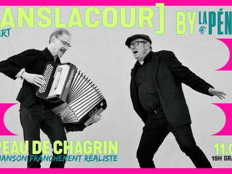 Dans la cour - peau de chagrin