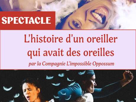 Spectacle : Histoire d'un oreiller qui avait des oreilles