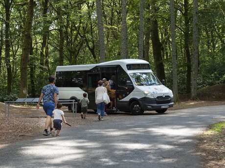 Une navette Autun-Etang sur Arroux-Bibracte