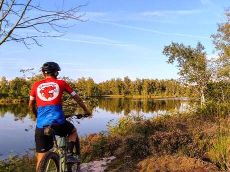 VTT n°51 - Le Plateau