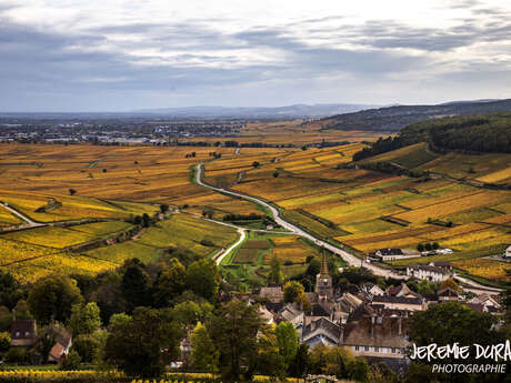 Chemins de Bourgogne