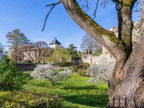 Visite guidée des remparts :les arbres sur les remparts