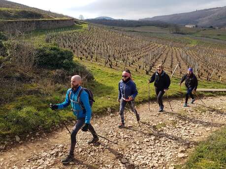 En pleine nature - marche nordique