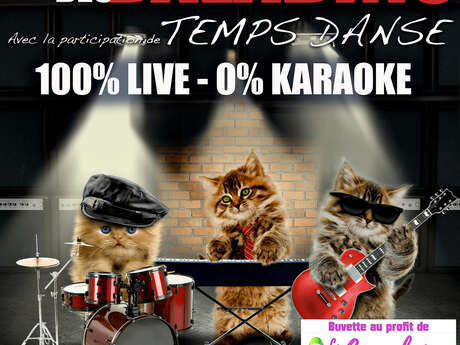 Le concert des baladins