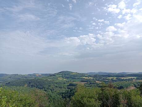 Visite zoom : les paysages du Morvan, hier et aujourd'hui
