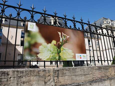 Les Climats sur les grilles du Département