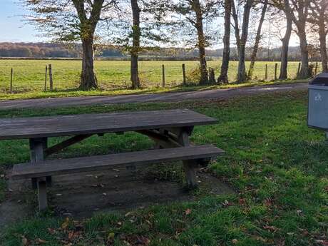Aire de pique-nique