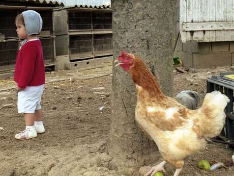 Rencontre-projection par le photographe Philippe Bazin à Bibracte
