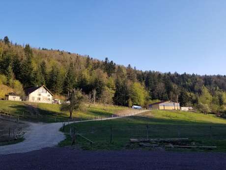 Aire de stationnement à la ferme