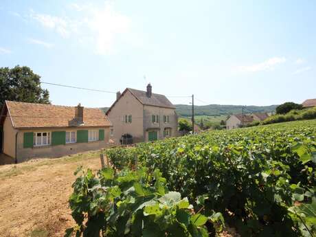 Gîte de l'Orbize