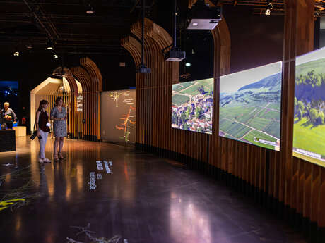 Vignobles en scène à la Cité des Climats et vins à Beaune