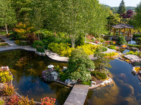 Le jardin aquatique d'Acorus