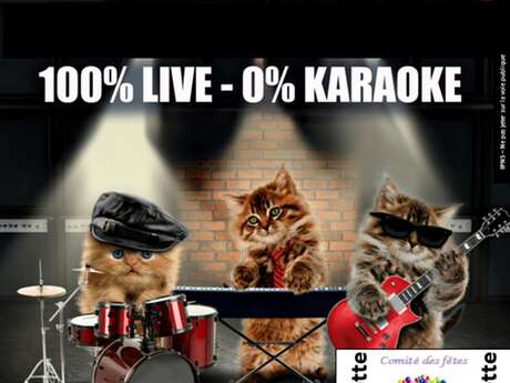 Concert des Baladins