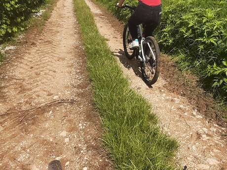 Circuit VTT Le Grand Tour des Monts de Gy