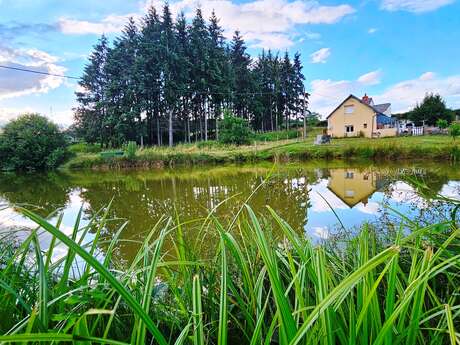 Gîte L'Etang des Soays