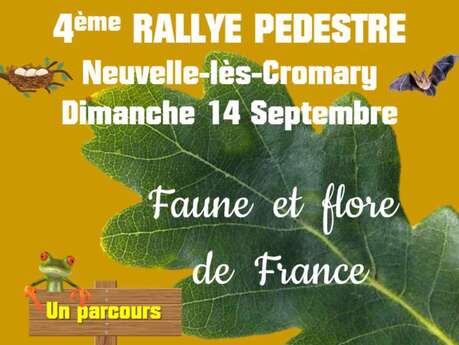 Rallye pédestre à Neuvelle lès Cromary
