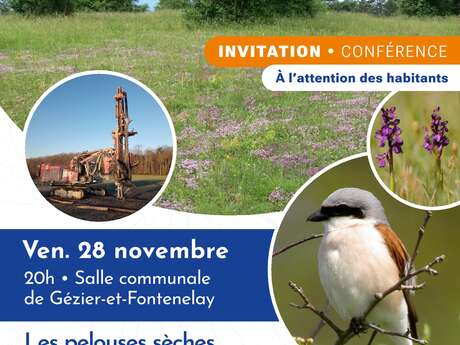 Conférence : Les pelouses sèches, un trésor local méconnu