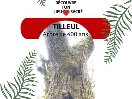 Balade Intuitive "Découvre ton lieu sacré."