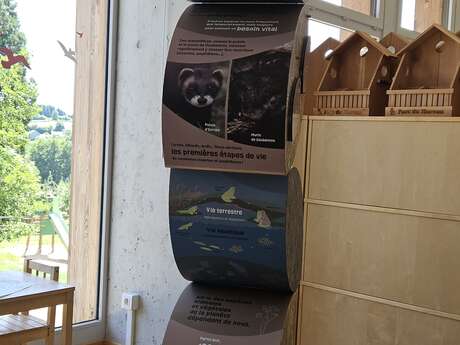 Exposition "Le Manifeste des mal-aimés"