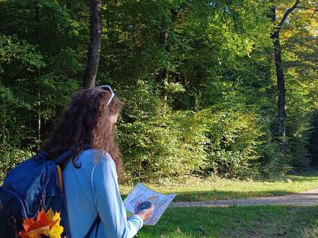 Parcours d'orientation Facile