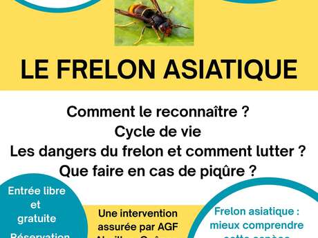 Réunion publique sur le "frelon asiatique" à Rioz