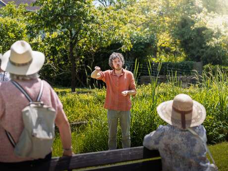 Balade historique et botanique au fil du sentier des Essarts