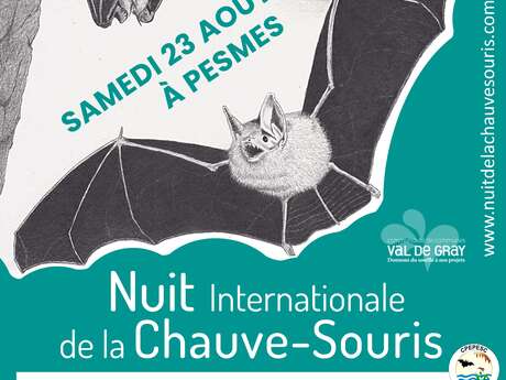 Nuit internationale de la chauve souris