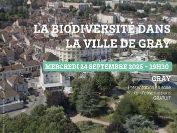 La biodiversité dans la ville de Gray