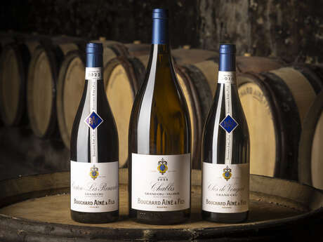 Bouchard Ainé & Fils - Dégustation spéciale Vente des Vins 2025 (9 vins dont 3 Grands Crus)