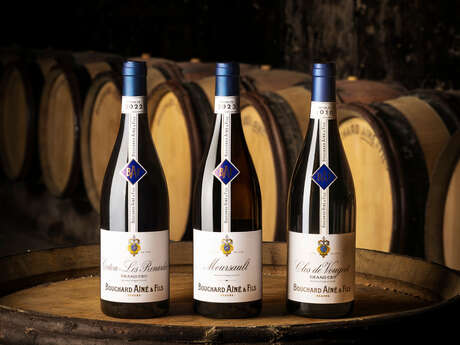 Bouchard Ainé & Fils - Dégustation spéciale Vente des Vins 2025 (9 vins dont 3 Grands Crus)