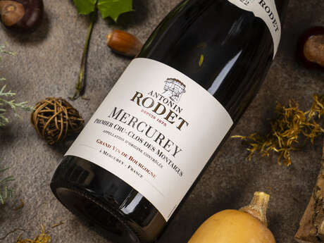 Ventes Privées d'Hiver 2025 - Spéciales 150 ans