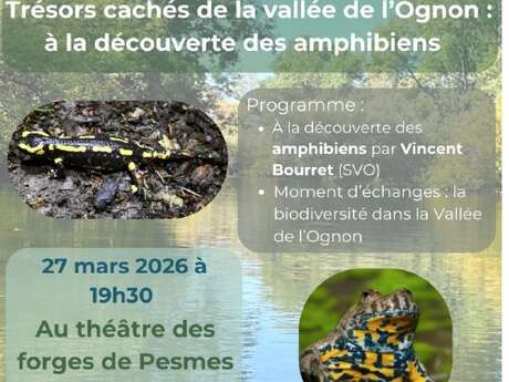 Trésors cachés de la Vallée de l'Ognon : à la découverte des amphibiens