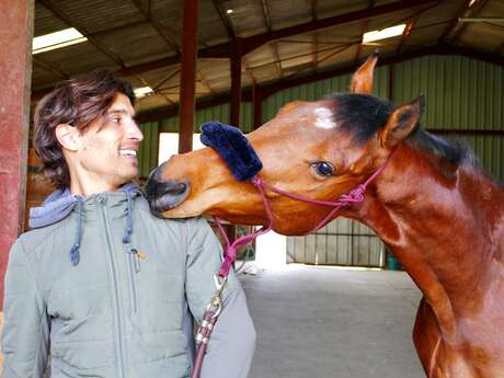 Haras du Val des Charmes