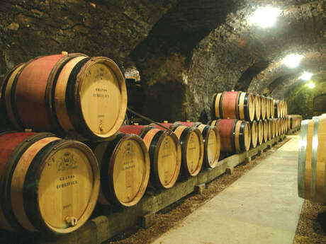 Domaine Henri de Villamont - Vente des vins 2025 - 10 vins, 10 émotions au cœur des caves