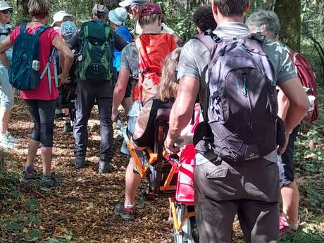 Marche au profit de l'association "Petits princes"