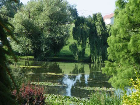 Le parc de l'etang