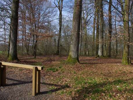 Parcours de santé à St Sauveur