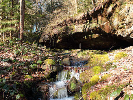 Sentier de decouverte des pierres-de-rouge